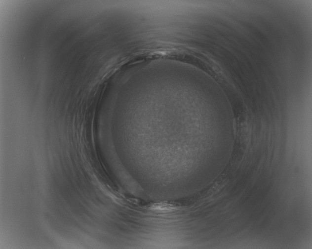 X0000081360750200701111521