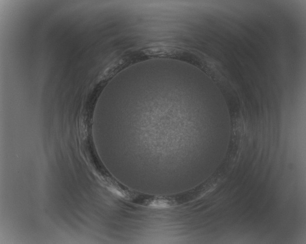 X0000081360751200701111521