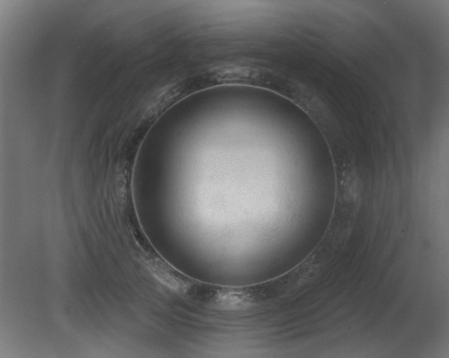 X0000081360753200701111521