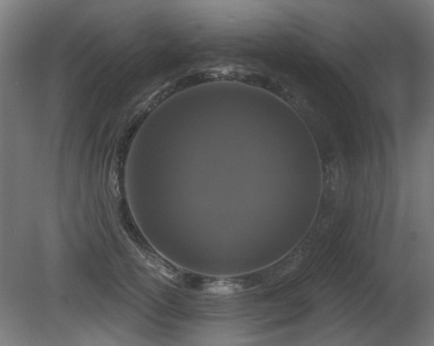 X0000081360754200701111521