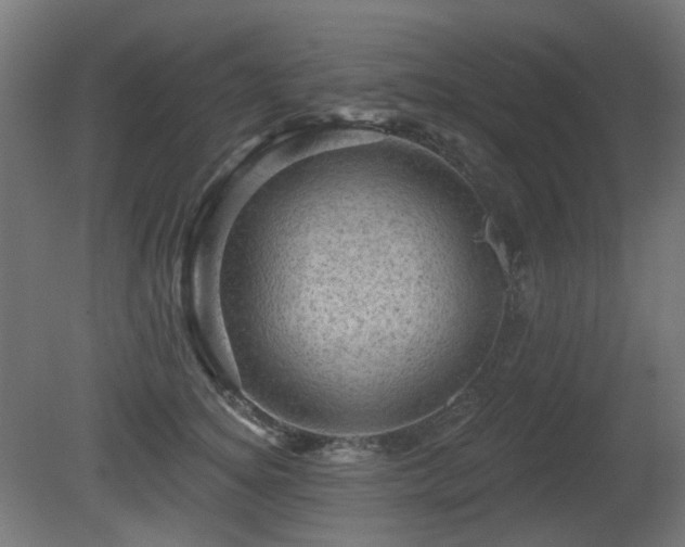 X0000081360756200701111521