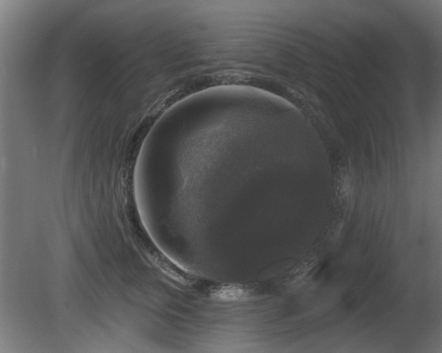 X0000081360759200701111521