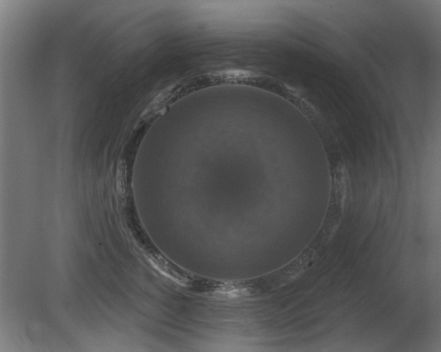 X0000081360760200701111521