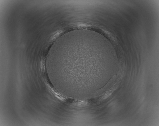 X0000081360768200701111521