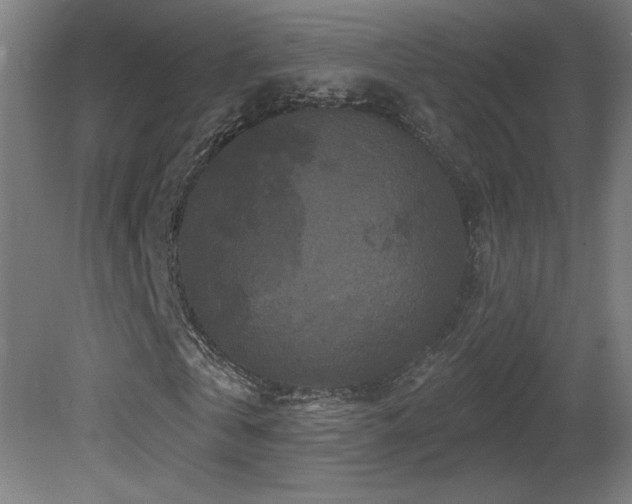 X0000081360769200701111520