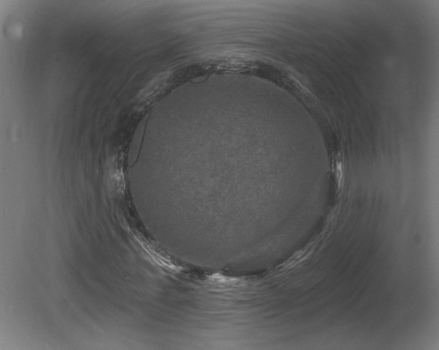 X0000081360771200701111520