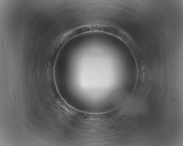 X0000081360773200701111520