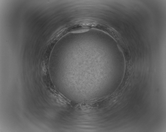 X0000081360774200701111520