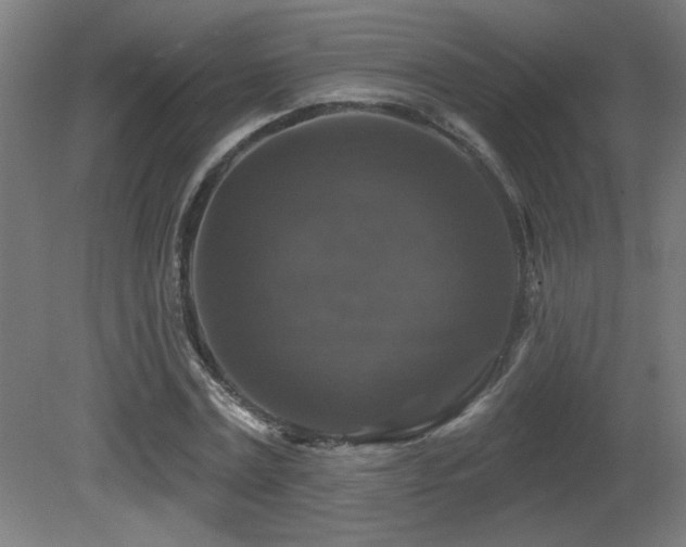 X0000081360779200701111520
