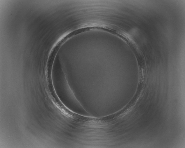 X0000081360780200701111520
