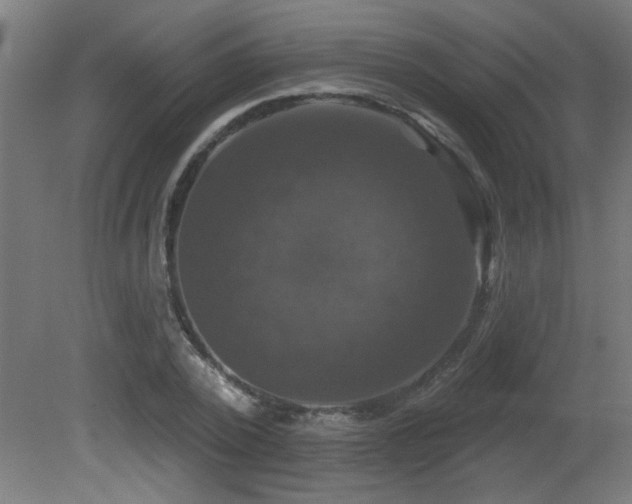 X0000081360784200701111520