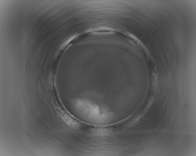X0000081360785200701111520