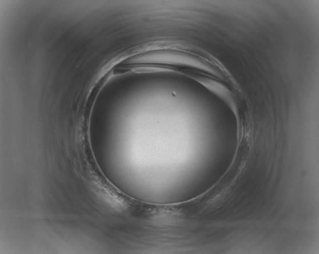 X0000081360786200701111520