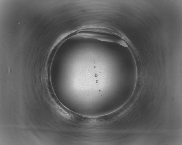 X0000081360787200701111520