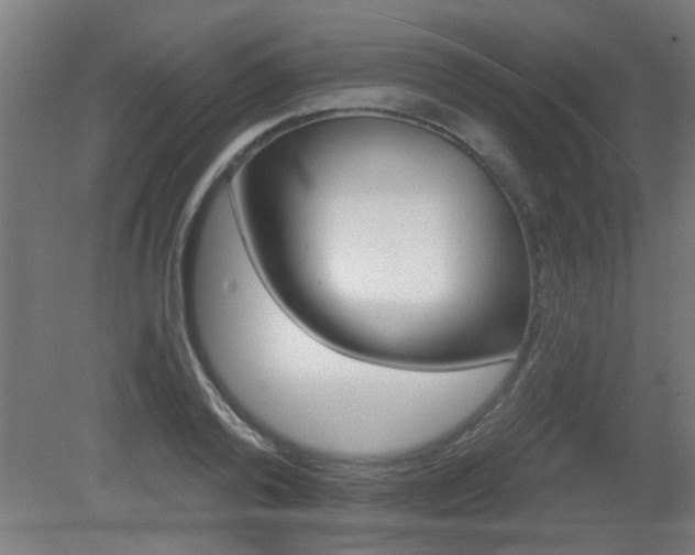 X0000081360792200701111520