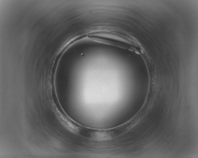 X0000081360794200701111520