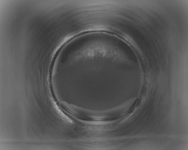 X0000081360797200701111520
