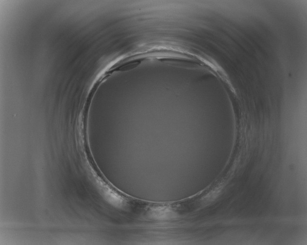 X0000081360798200701111520
