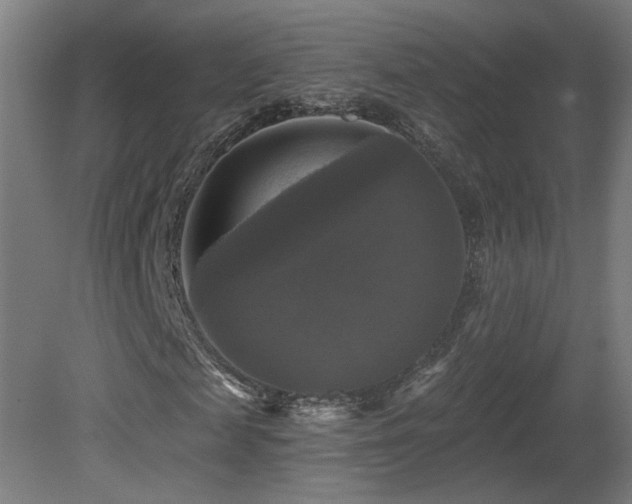 X0000081360817200701111519