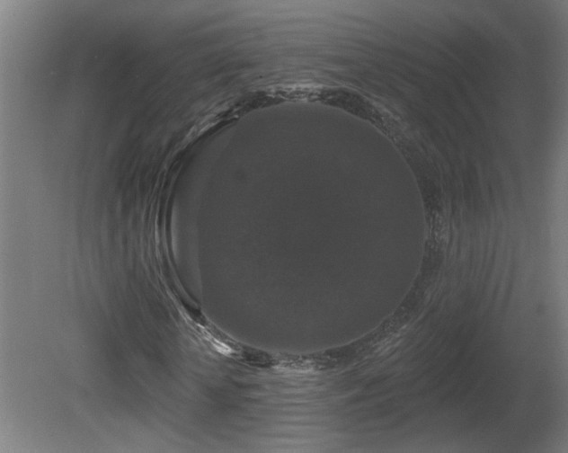 X0000081360818200701111519