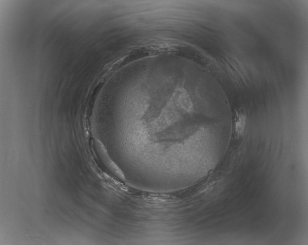 X0000081360819200701111519