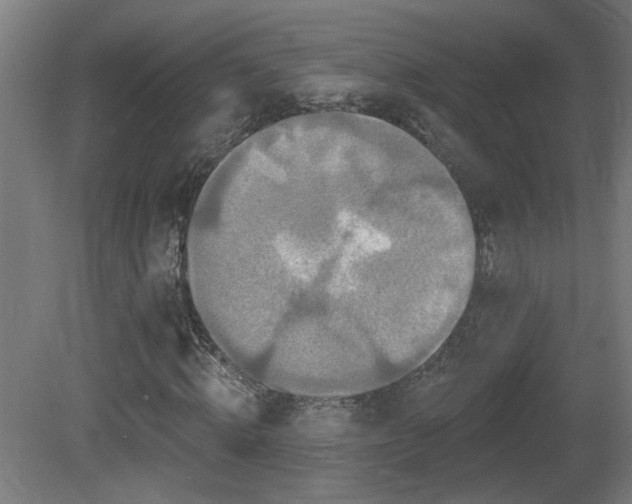 X0000081360820200701111519