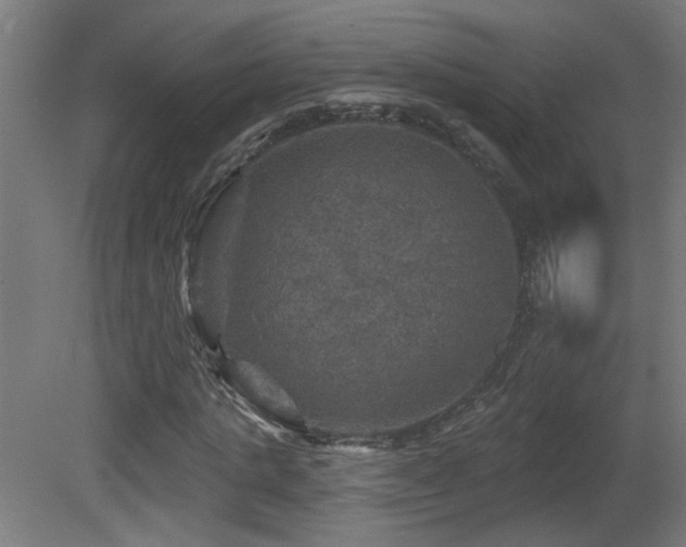 X0000081360821200701111519