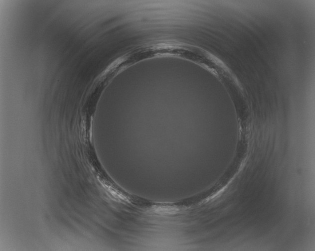 X0000081360825200701111519