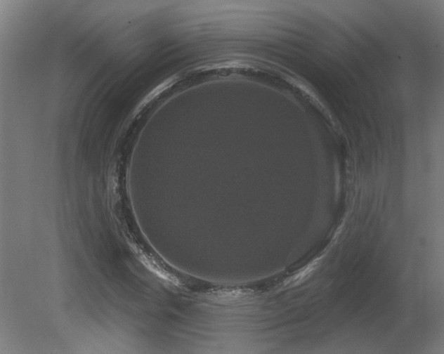 X0000081360826200701111519