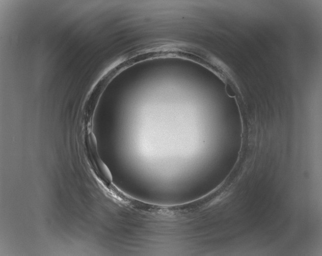 X0000081360827200701111519
