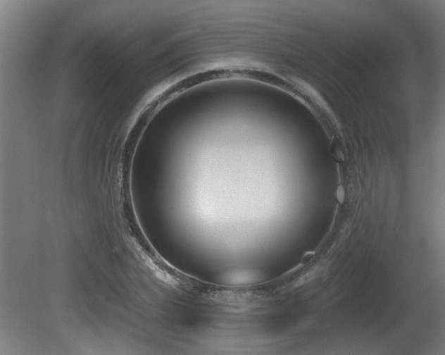 X0000081360831200701111519