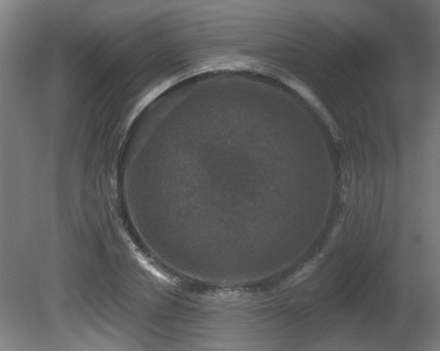 X0000081360834200701111519