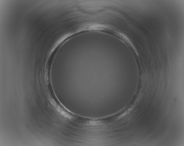 X0000081360835200701111519