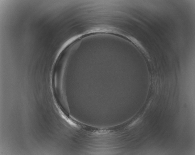 X0000081360846200701111519