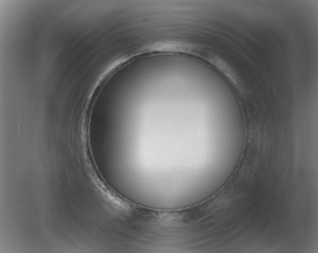 X0000081360848200701111519