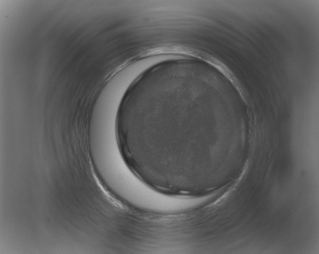 X0000081360849200701111519