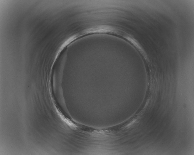 X0000081360850200701111519