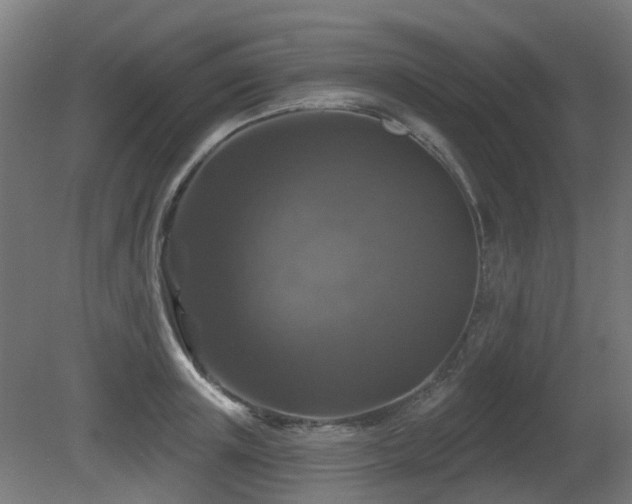 X0000081360851200701111519