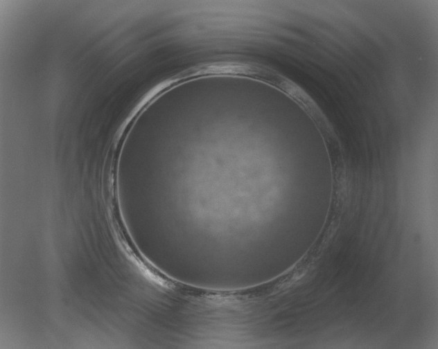 X0000081360852200701111519