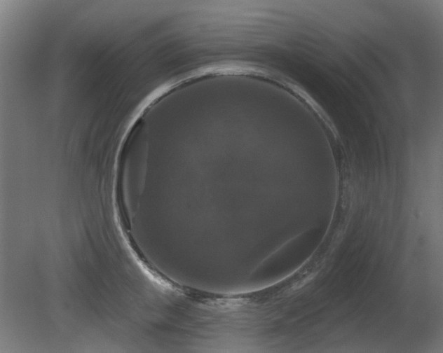 X0000081360853200701111519