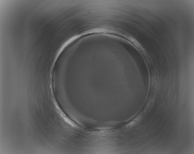 X0000081360854200701111519