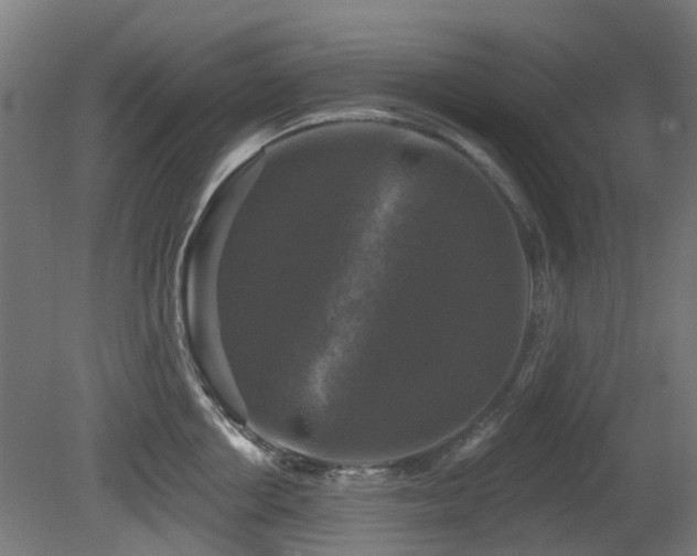 X0000081360858200701111519