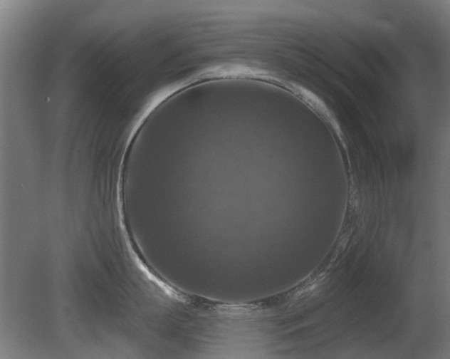 X0000081360863200701111520