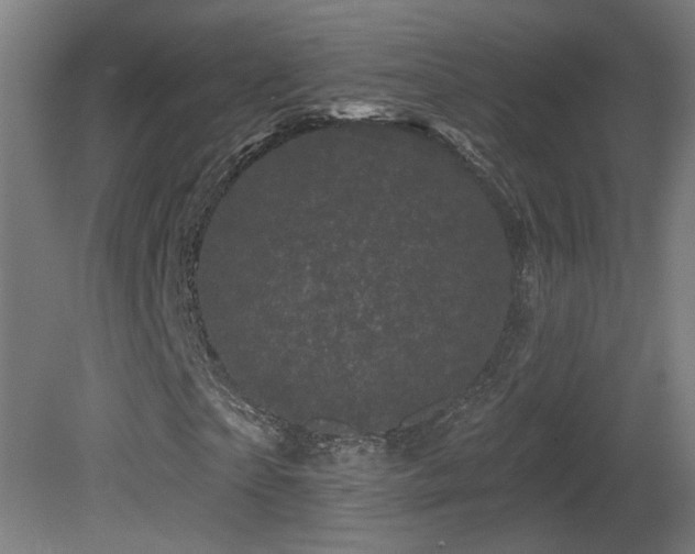 X0000081360865200701111519