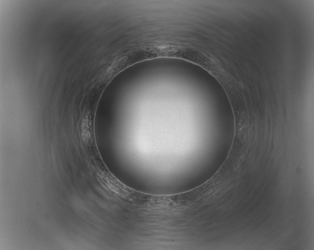 X0000081360866200701111519