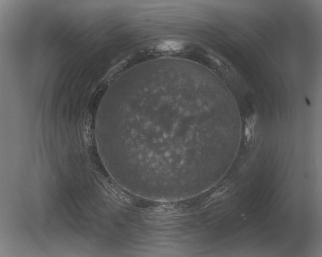 X0000081360867200701111519