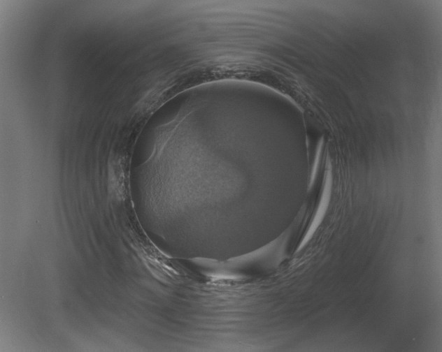 X0000081360868200701111519