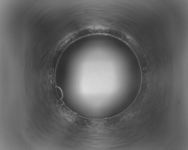X0000081360870200701111519
