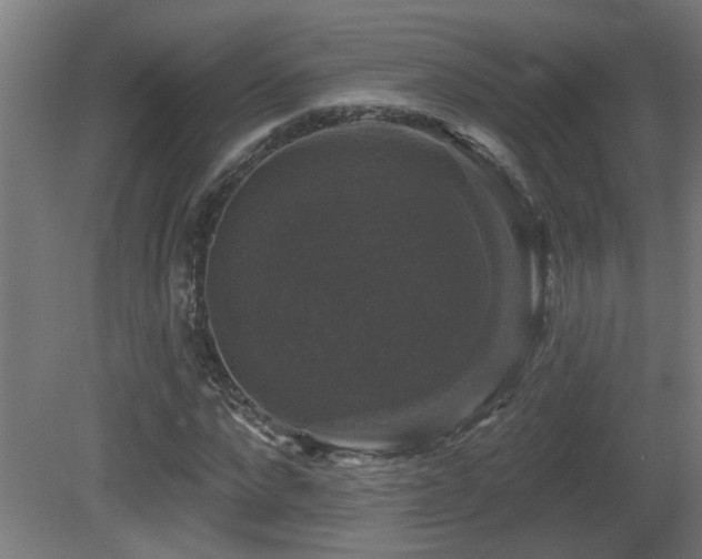 X0000081360872200701111519