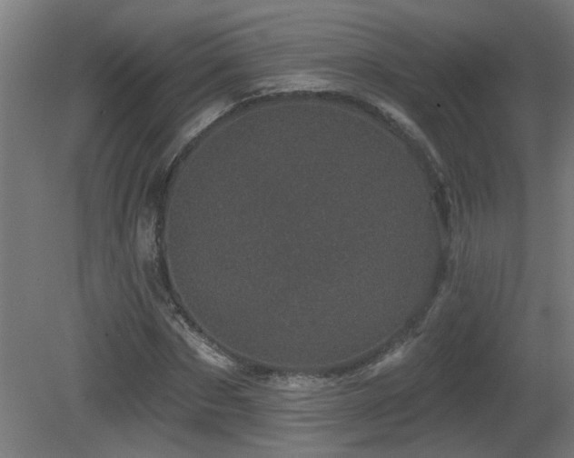 X0000081360873200701111519